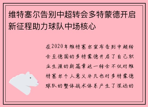 维特塞尔告别中超转会多特蒙德开启新征程助力球队中场核心